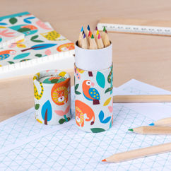 crayons à colorier wild wonders (ensemble de 12)