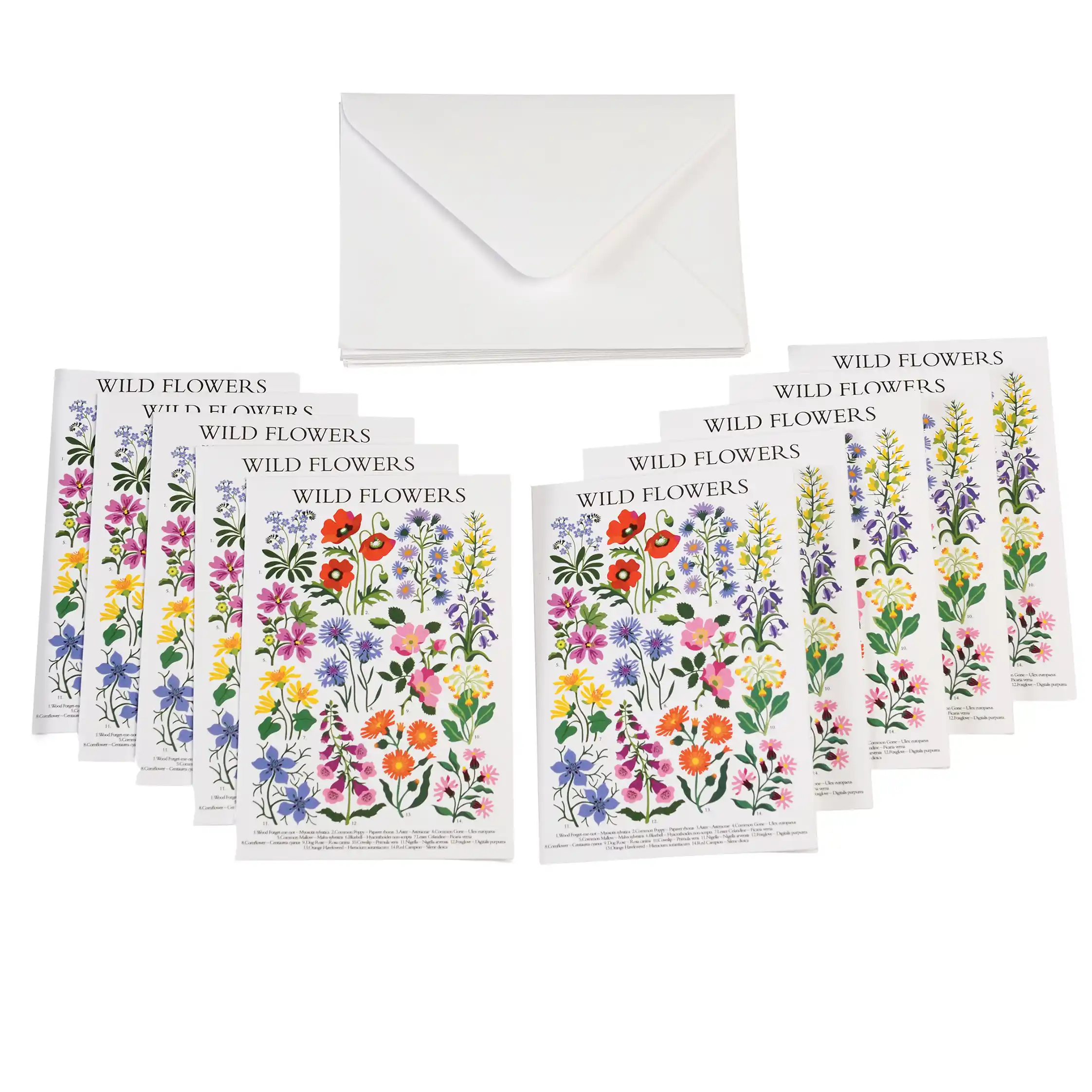 tarjetas de felicitación wild flowers (paquete de 10)