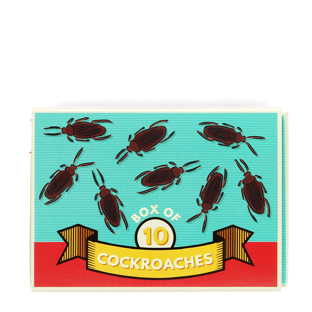 box mit 10 kakerlaken
