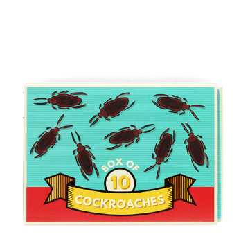 box of 10 cockroaches