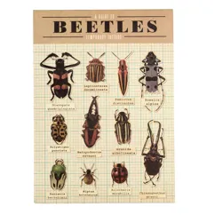 tatouages temporaires scarabées (2 feuilles)