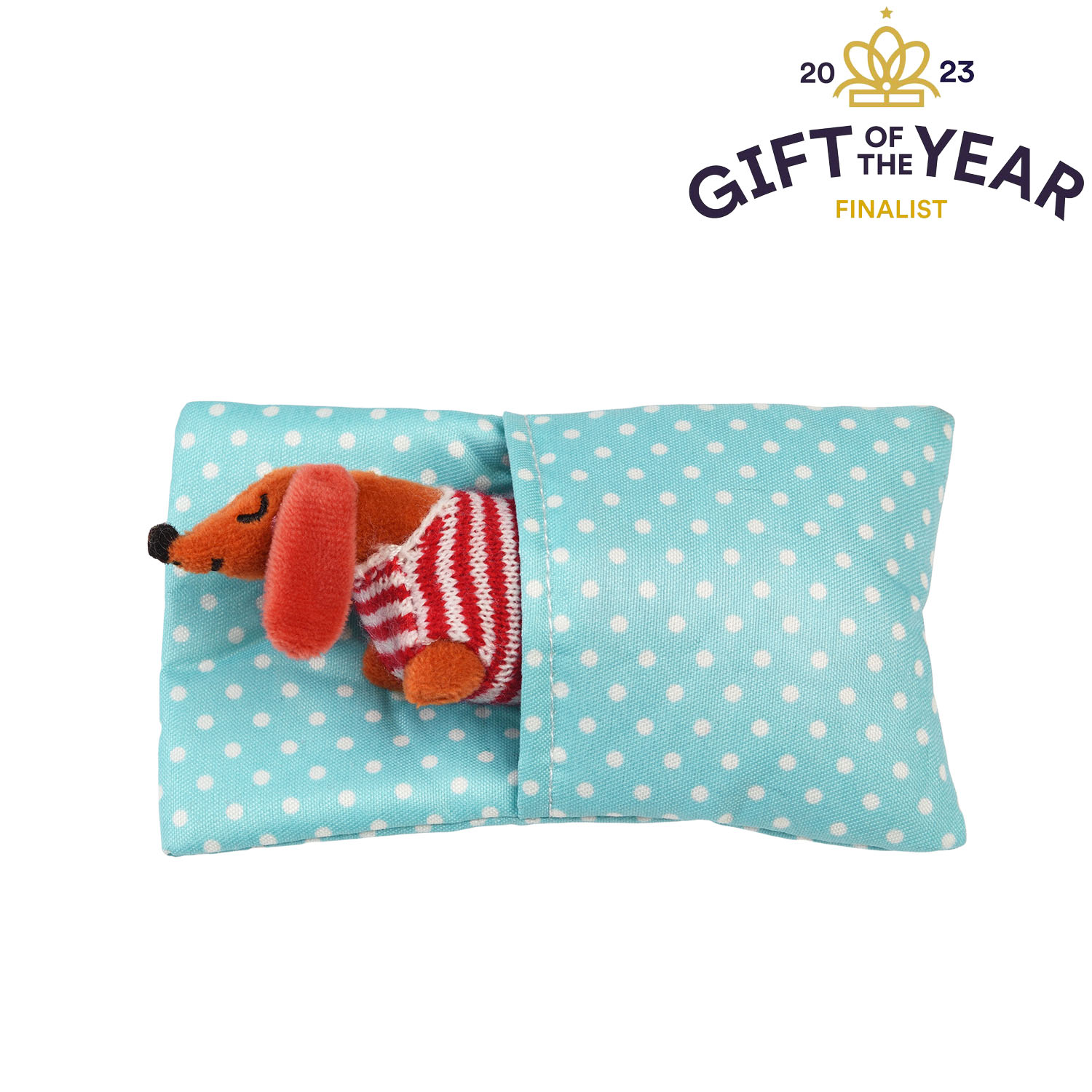 mini sausage dog in a little box