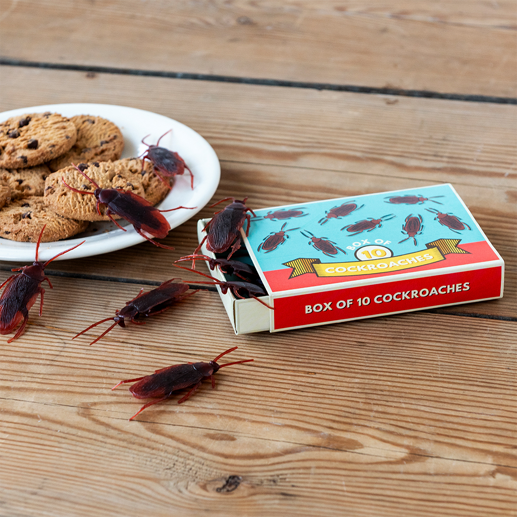 box mit 10 kakerlaken