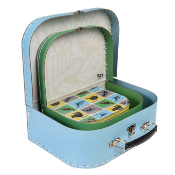 storage cases (set of 3) - prehistoric land