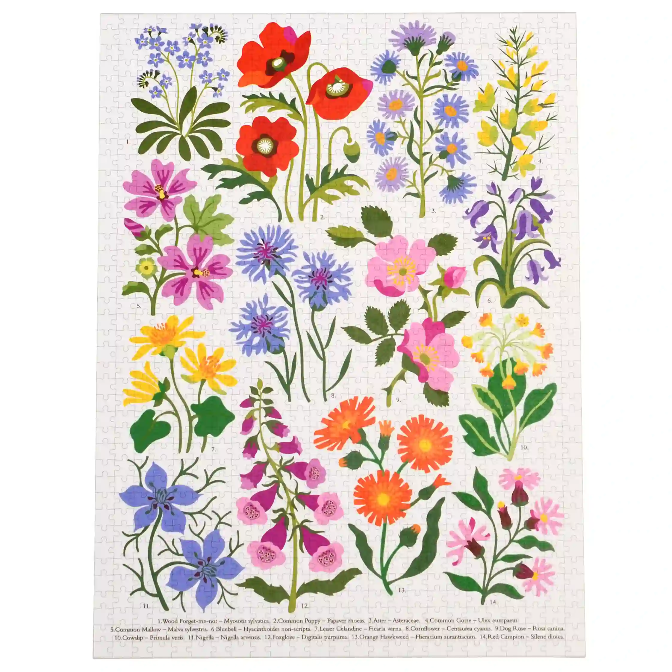 rompecabezas 1000 piezas wild flowers