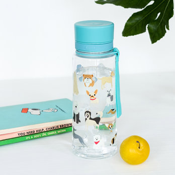water bottle 600ml - best in show