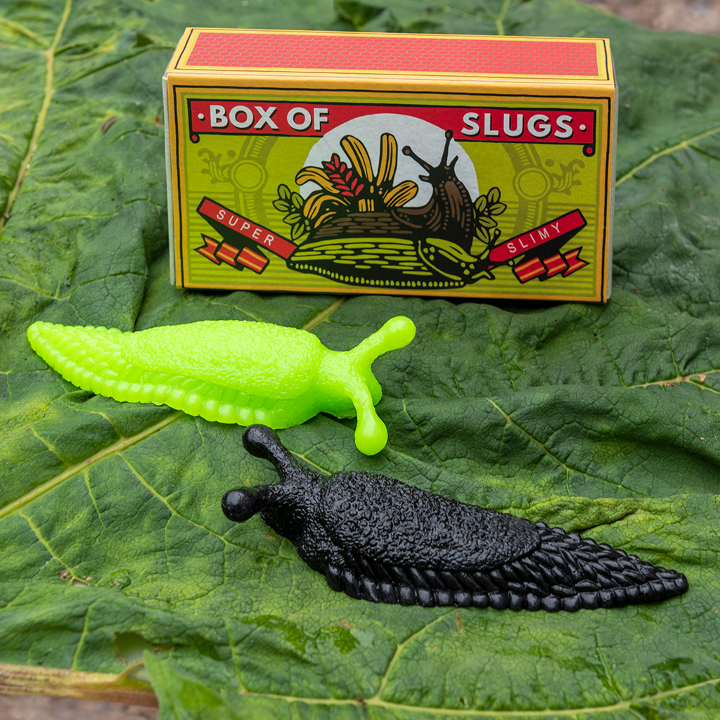 box of two slimy slugs