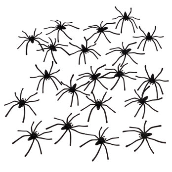 boîte de 20 araignées