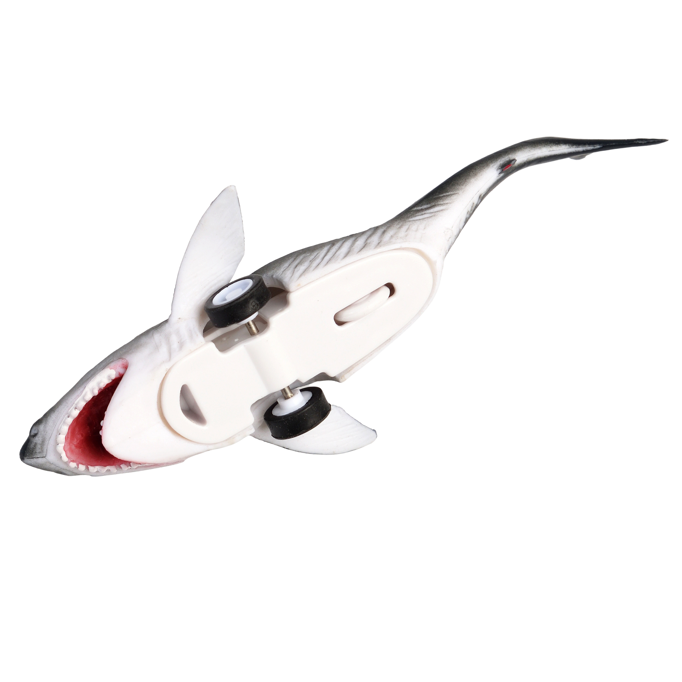 shark pull back toy