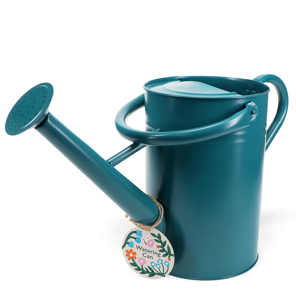 galvanised steel watering can 4.5l - blue