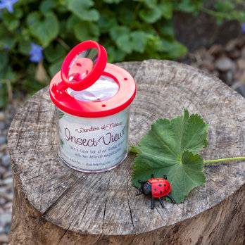 visionneuse d'insectes wonders of nature