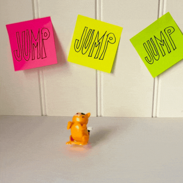 animal sauteur à remonter - chat