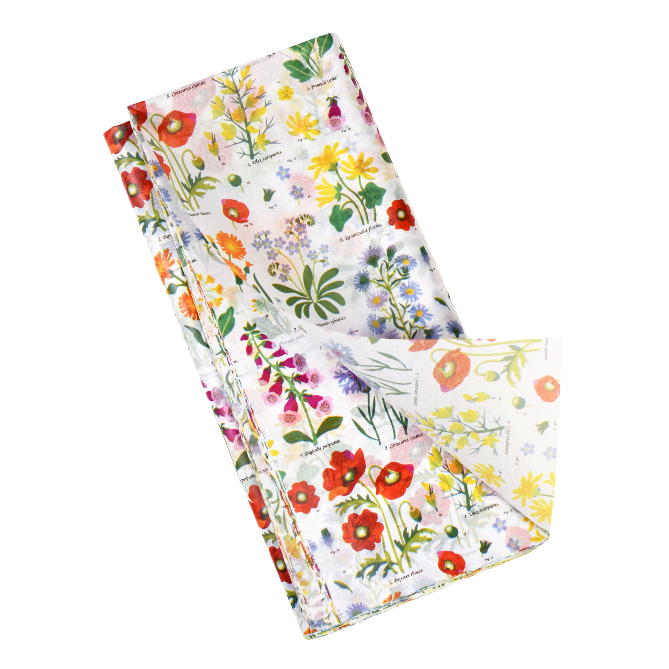 seidenpapier wild flowers (10 bögen)