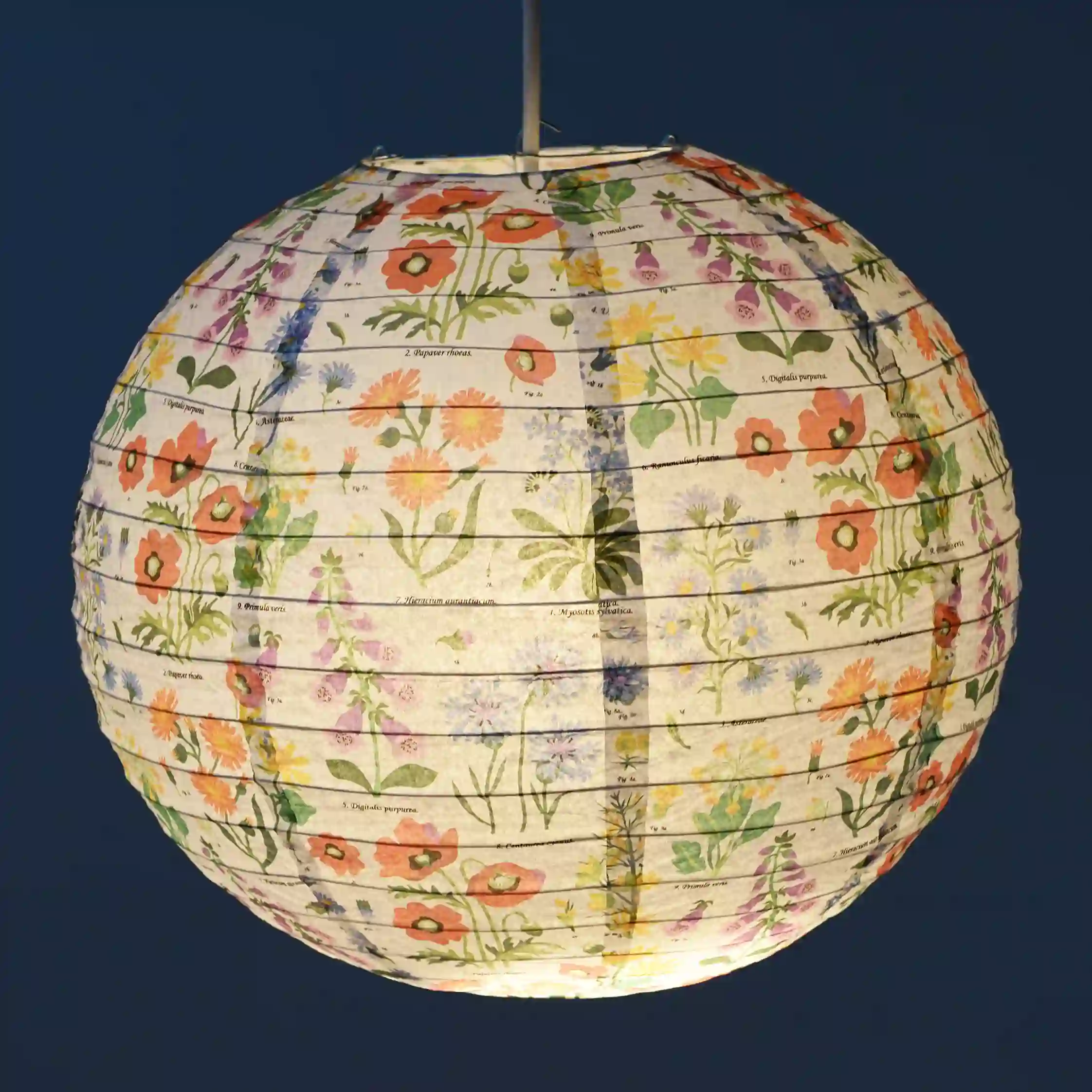 paper lampshade - wild flowers