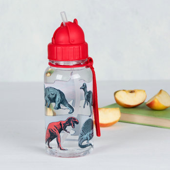 children's water bottle with straw 500ml - prehistoric land