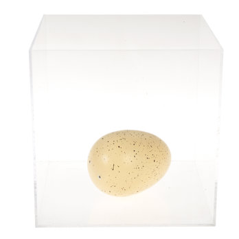 giant hatching fairy egg - fairies in the garden