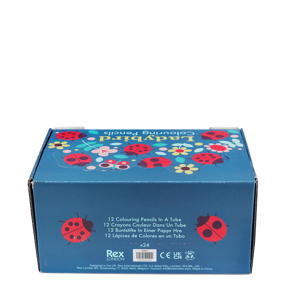 buntstifte in der pappröhre - ladybird