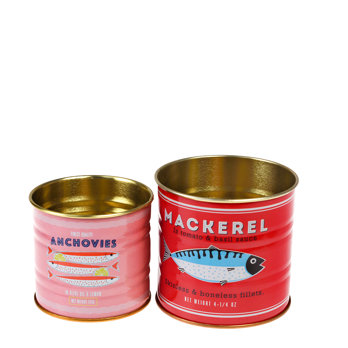 mini storage tins (set of 2) - fish